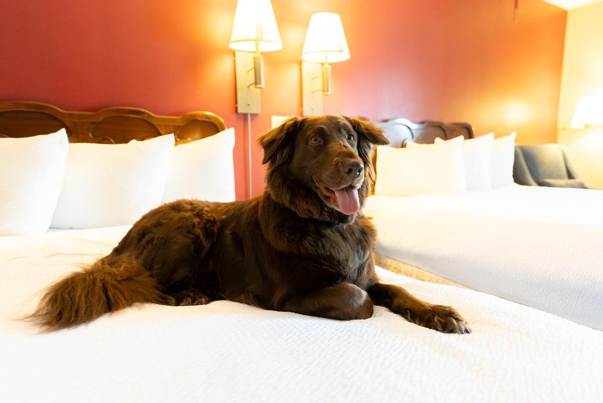 Fireside Inn & Suites Гилфорд Экстерьер фото